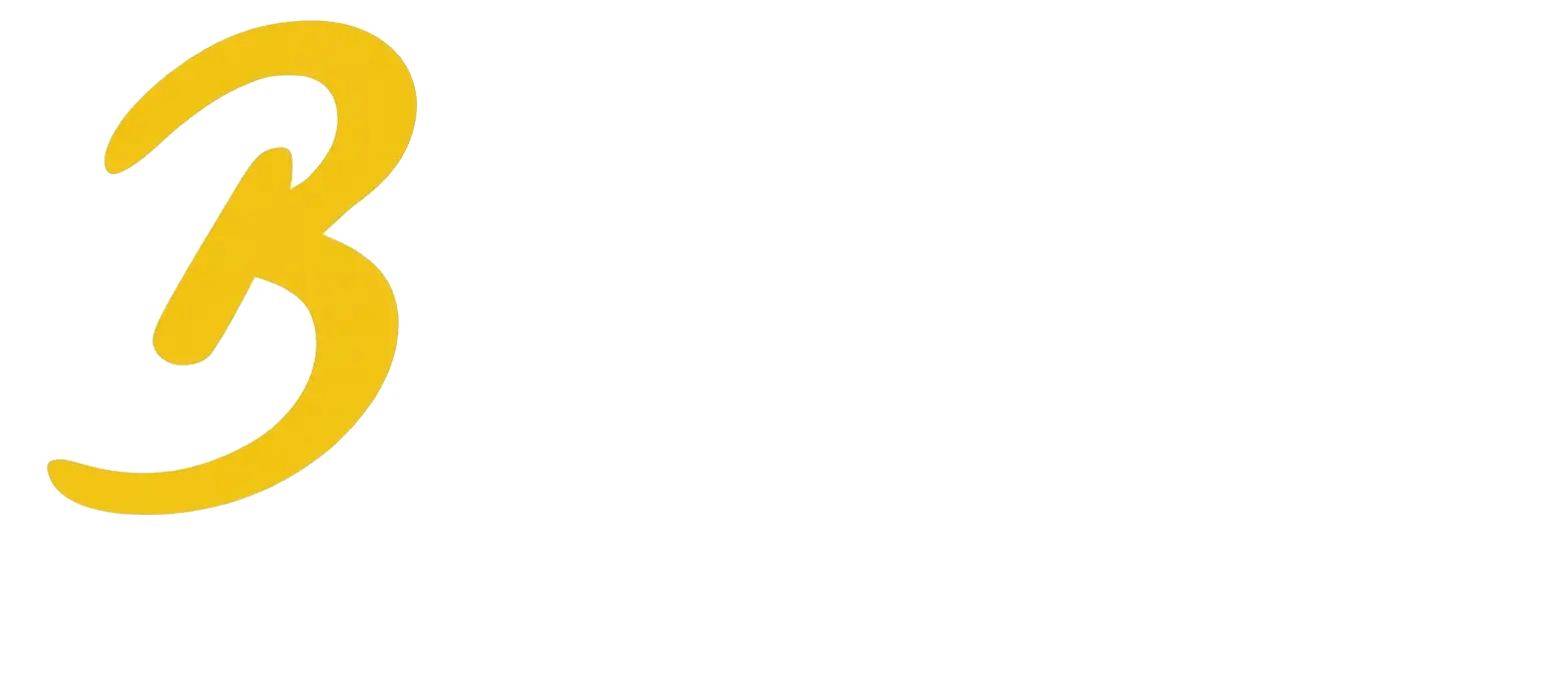 BlueDot Solution